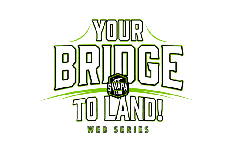 Your Bridge To Land Web Series